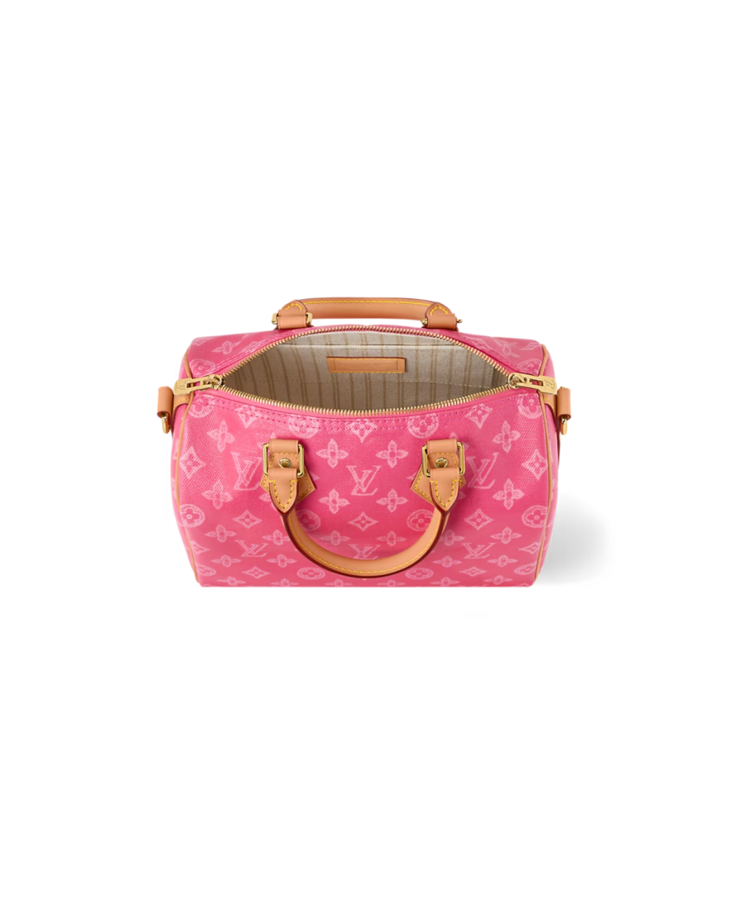 Bolsa Louis Vuitton Speedy 25 con correa